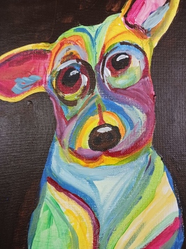 Multi-Colored Dog