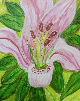 Iris