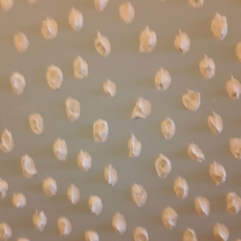 Altocumulus36x36