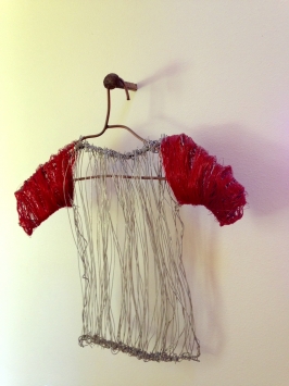 Wire Shirt On Hanger